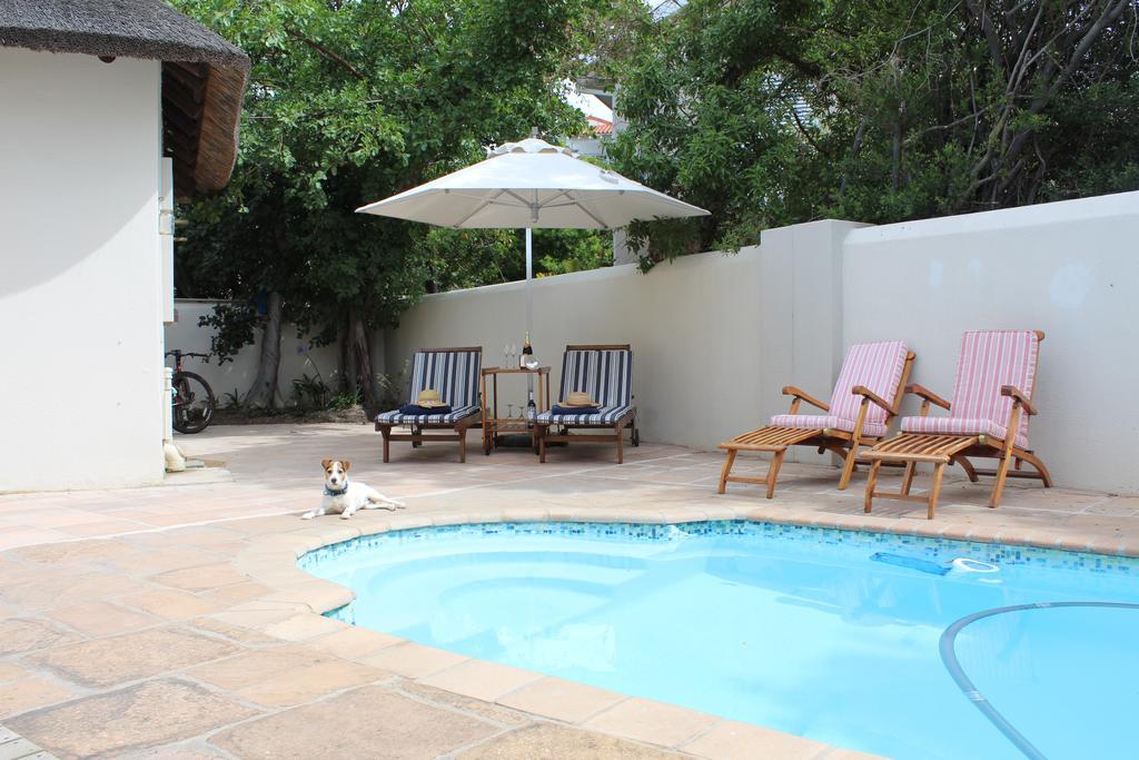 Hotel Windfall Plett Plettenberg Bay Zewnętrze zdjęcie